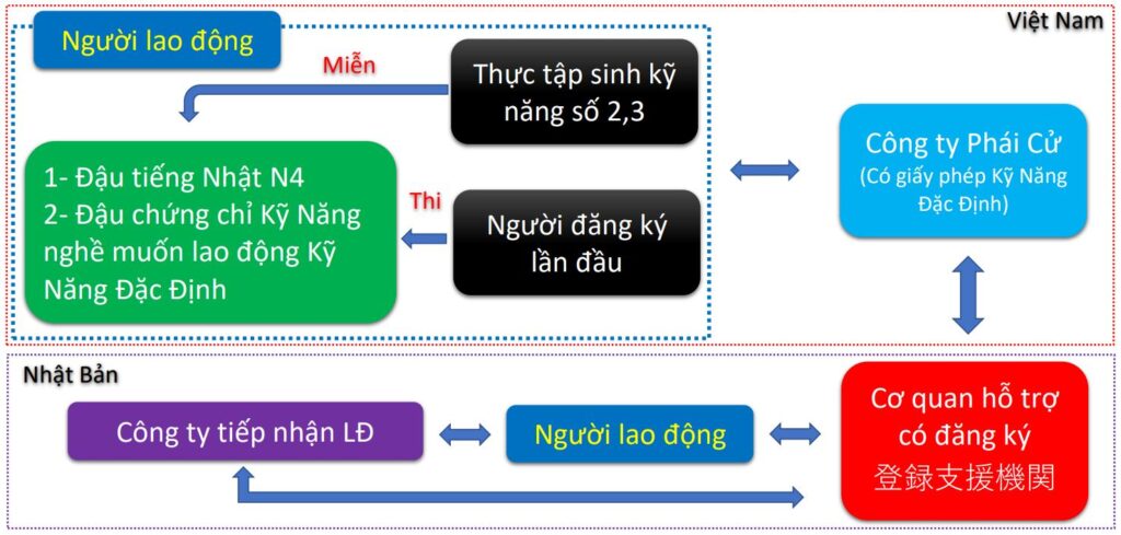 visa đặc định là gì